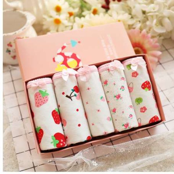 5pcs/box young girl underwear panties printed strawberry cotton bottom brief for children, Camo
5pcs/box young girl underwear panties printed strawberry cotton bottom brief for children, Camo