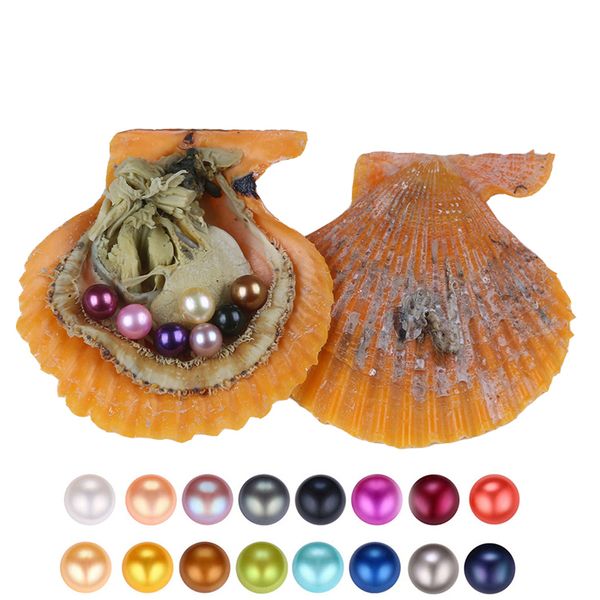 2018 round akoya oyster jewelry 6-7 mm 25color seawater rainbow shells pearl oyster as mystery gift with vacuum package, White
2018 round akoya oyster jewelry 6-7 mm 25color seawater rainbow shells pearl oyster as mystery gift with vacuum package, White