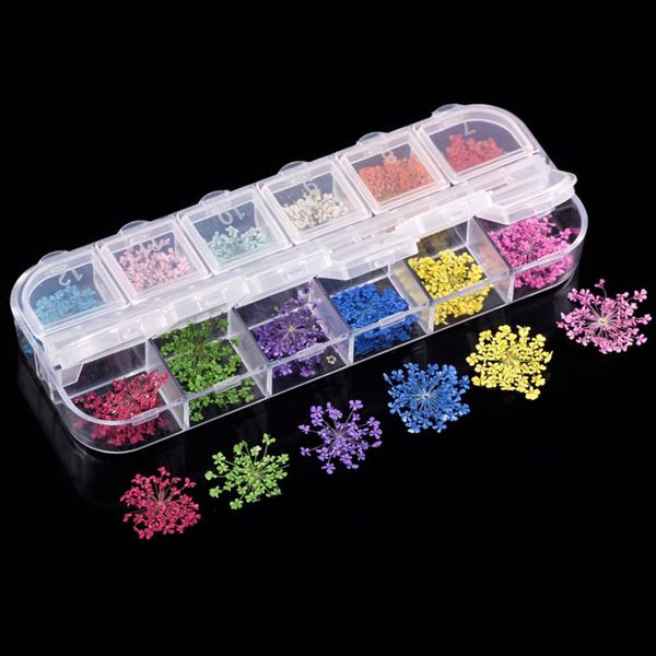 12 color/box nature dry flowers kit diy floral potpourri slices decal pro manicure pedicure decor nail art accs gel polish tip, Silver;gold
12 color/box nature dry flowers kit diy floral potpourri slices decal pro manicure pedicure decor nail art accs gel polish tip, Silver;gold