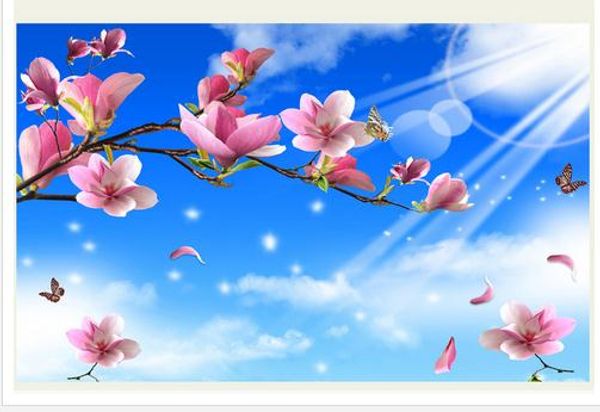 modern living room wallpapers beautiful fresh blue sky magnolia art background