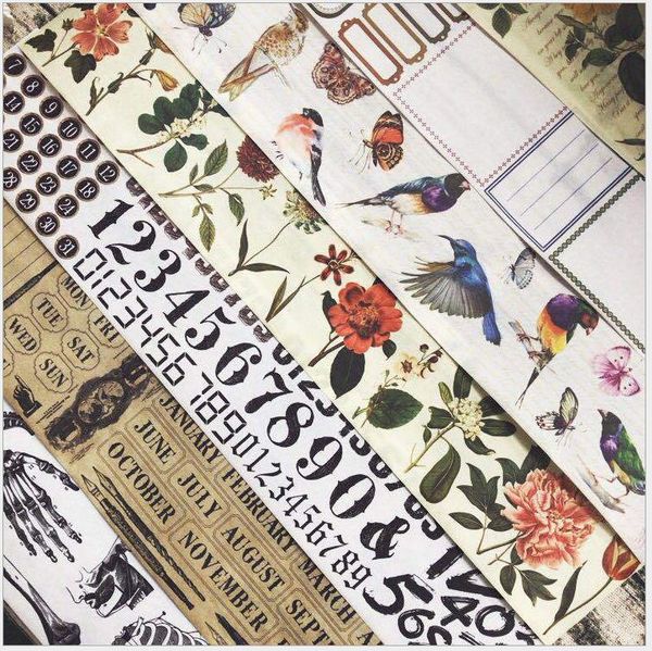 60mm vintage flowers/birds/dates/month decoration washi tape planner masking tape adhesive school office supplies 2016
60mm vintage flowers/birds/dates/month decoration washi tape planner masking tape adhesive school office supplies 2016