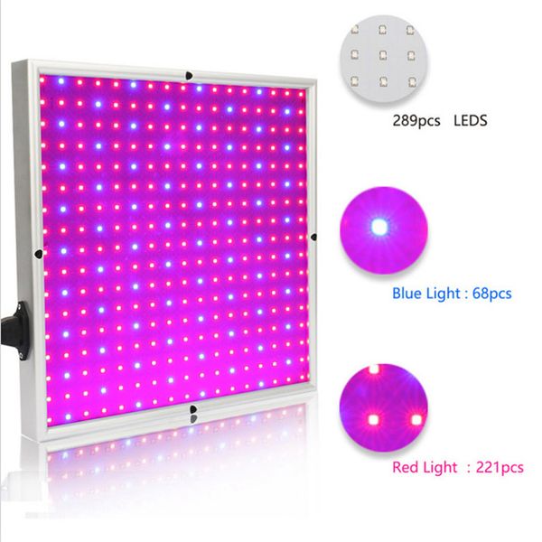 30w full spectrum panel led grow light beads grow lamp greenhouse fruits and vegetables flowers fill lights plants indoor
30w full spectrum panel led grow light beads grow lamp greenhouse fruits and vegetables flowers fill lights plants indoor