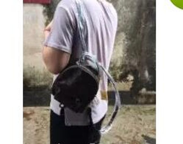 3 размера: 20 СМ, 25 СМ, 36 СМ fashionback женщины упаковать сумка сумка сумочка пресбиопиче
3 размера: 20 СМ, 25 СМ, 36 СМ fashionback женщины упаковать сумка сумка сумочка пресбиопиче