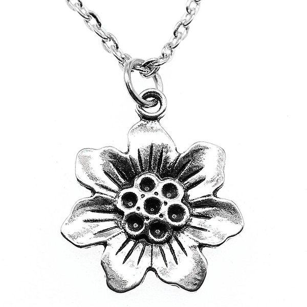 wysiwyg 5 pieces metal chain necklaces pendants women necklace jewelry flowers 25x21mm n2-b13731, Silver
wysiwyg 5 pieces metal chain necklaces pendants women necklace jewelry flowers 25x21mm n2-b13731, Silver