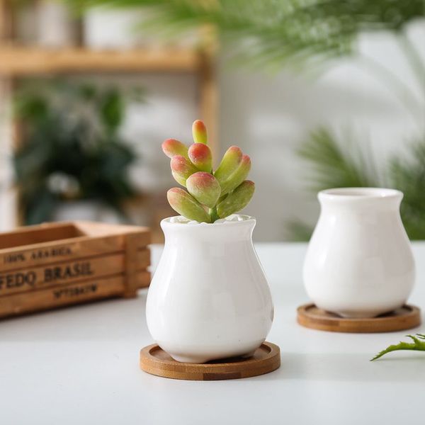 new succulents pots decorative fashion simple white mini flower pots planters succulent plant potted on the desk home decoration wholesale
new succulents pots decorative fashion simple white mini flower pots planters succulent plant potted on the desk home decoration wholesale