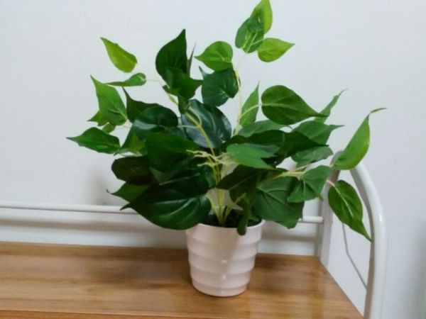 вадебне ђкѬаени ада зелене ли Ѭаени ве гоѬки дл моделиѬовани
вадебне ђкѬаени ада зелене ли Ѭаени ве гоѬки дл моделиѬовани