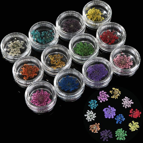 12 color/set nail art decoration dried flowers 3d slices decal with case french acrylic gel polish tips diy nature manicure tool, Silver;gold
12 color/set nail art decoration dried flowers 3d slices decal with case french acrylic gel polish tips diy nature manicure tool, Silver;gold