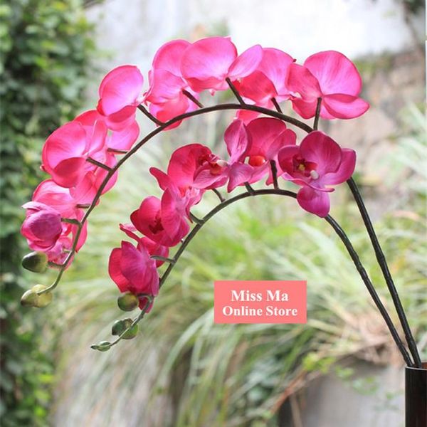 wholesale-5pcs/lot - pu orchid flower real touch phalaenopsis latex flower wedding party fake flower buerfly flower ing
wholesale-5pcs/lot - pu orchid flower real touch phalaenopsis latex flower wedding party fake flower buerfly flower ing