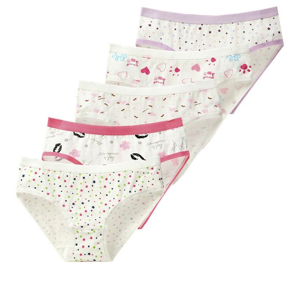 underwear women plus size cotton low waist panties cute floral candy brief lady girl lingerie intimate xxxl xxl xl l 5piece/lot, Black;pink
underwear women plus size cotton low waist panties cute floral candy brief lady girl lingerie intimate xxxl xxl xl l 5piece/lot, Black;pink