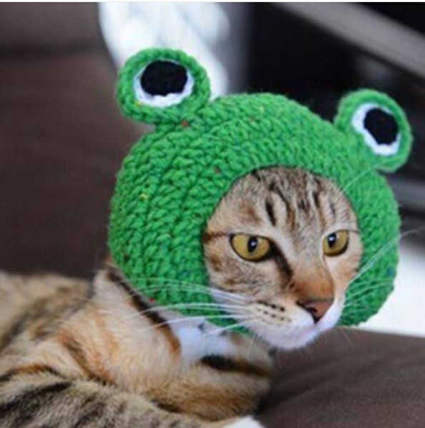 saleswholesales handmade diy pet cat dog creative frog design hat warm knitted hat gift
saleswholesales handmade diy pet cat dog creative frog design hat warm knitted hat gift