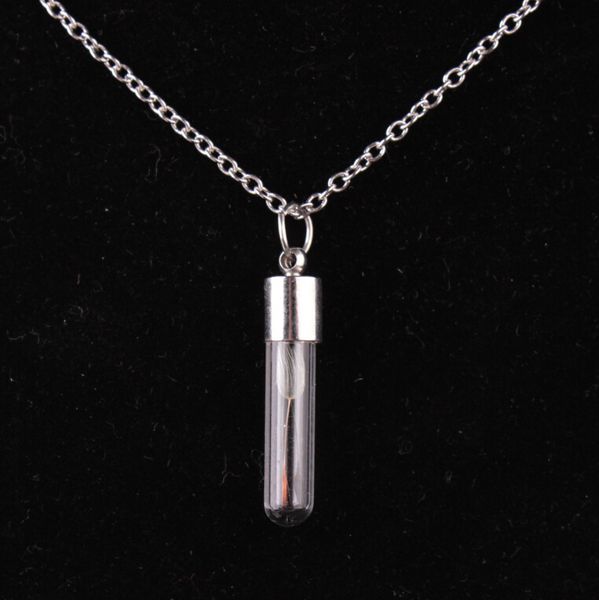 perfume bottle necklace luxury jewelry long chain glass necklaces dandelion pendant necklace, Silver
perfume bottle necklace luxury jewelry long chain glass necklaces dandelion pendant necklace, Silver