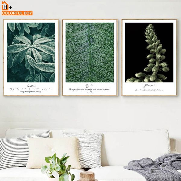 colorfulboy wall art canvas prints leafs seed nordic posters and prints art canvas painting wall pictures for living room
colorfulboy wall art canvas prints leafs seed nordic posters and prints art canvas painting wall pictures for living room