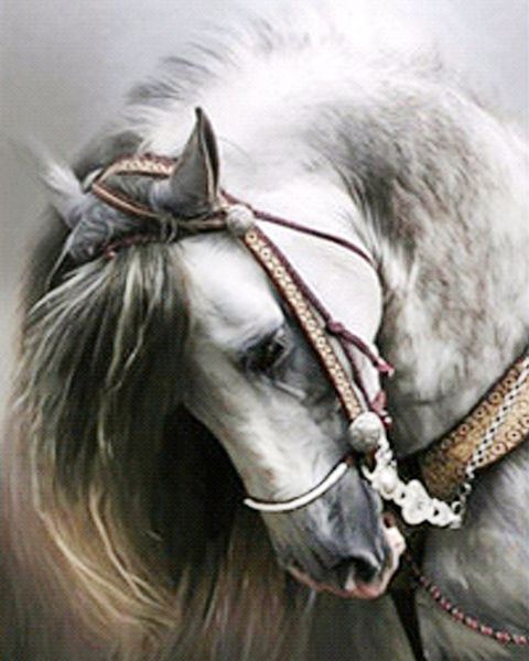 a1994 horsehead 40*50 5d diy diamond embroidery painting home decor diamond crossing stitch 100% resin tool dril painting mosaic needlework
a1994 horsehead 40*50 5d diy diamond embroidery painting home decor diamond crossing stitch 100% resin tool dril painting mosaic needlework