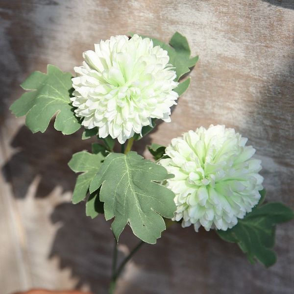 single branch dream dandelion thorn ball small pom-pom artificial flower dandelion diy home wedding pgraphy christmas decor
single branch dream dandelion thorn ball small pom-pom artificial flower dandelion diy home wedding pgraphy christmas decor