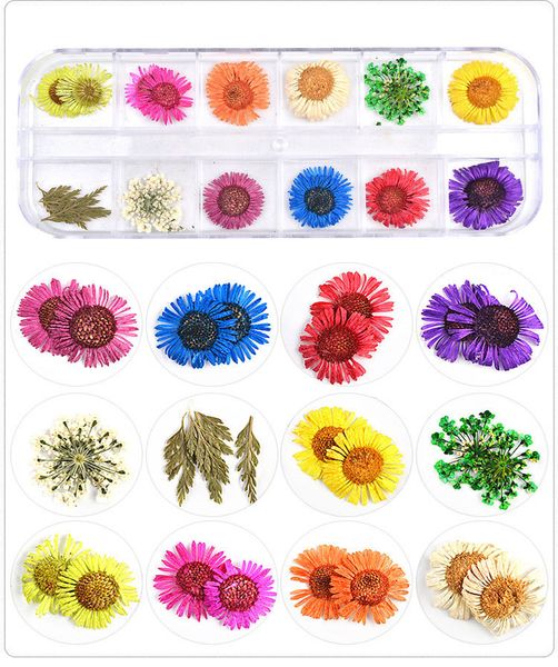 1pcs 12 patterns dry flowers sticker colorful little daisy five-petaled flowers nail art decoration diy manicure tool box mz0088, Silver;gold
1pcs 12 patterns dry flowers sticker colorful little daisy five-petaled flowers nail art decoration diy manicure tool box mz0088, Silver;gold