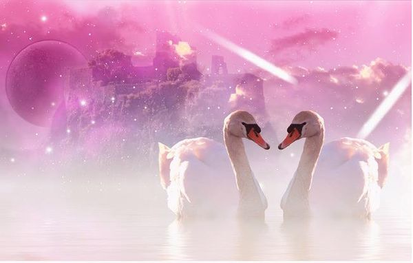 custom p wallpaper large wall painting background wall paper beautiful romantic swan living room tv background wall 3d wallpaper mural
custom p wallpaper large wall painting background wall paper beautiful romantic swan living room tv background wall 3d wallpaper mural