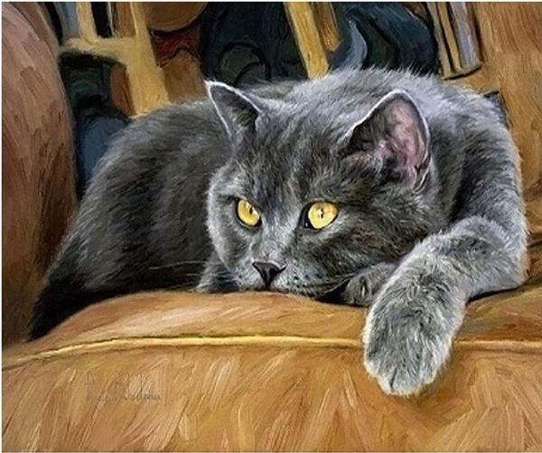 full square/round drill 5d diy diamond painting "cat" embroidery cross stitch mosaic home decor art experience toys gift a0268
full square/round drill 5d diy diamond painting "cat" embroidery cross stitch mosaic home decor art experience toys gift a0268