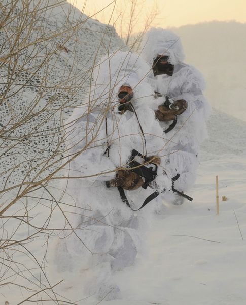 sniper hunting 3d camouflage clothes ghillie suit snow white suit jacket pants head cover 5pcs winter traning camping hunting, Camo
sniper hunting 3d camouflage clothes ghillie suit snow white suit jacket pants head cover 5pcs winter traning camping hunting, Camo