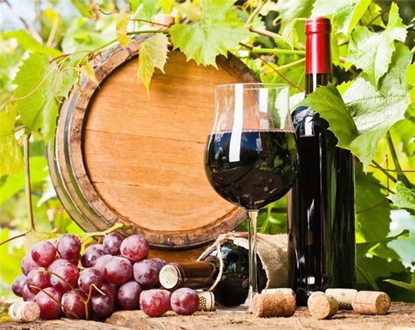 diamond embroidery red grape wine diy diamond painting cross stitch kit resin full round diamond mosaic home decoration yx4020
diamond embroidery red grape wine diy diamond painting cross stitch kit resin full round diamond mosaic home decoration yx4020