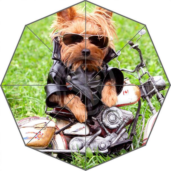 w530l7 fashion custom yorkshire terrier dog shaggy umbrella sunny and rainy sunscreen anti-uv umbrella f-l7
w530l7 fashion custom yorkshire terrier dog shaggy umbrella sunny and rainy sunscreen anti-uv umbrella f-l7
