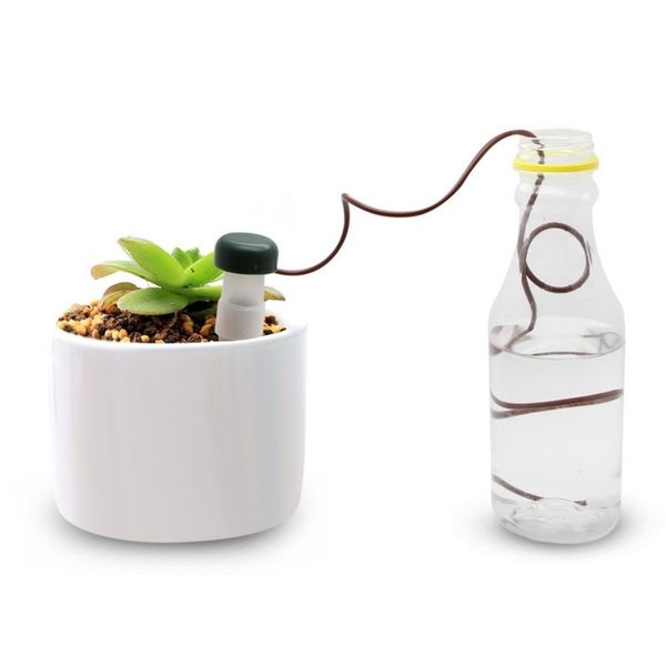 6 pieces self watering probes indoor automatic watering system irrigation equipment houseplant spikes for plant