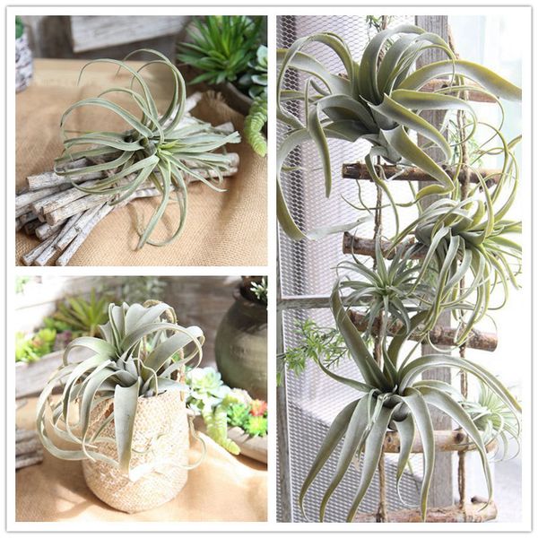 vivid artificial succulents pineapple flexible glue plants bonsai succulent flower lotus for home office decoration
vivid artificial succulents pineapple flexible glue plants bonsai succulent flower lotus for home office decoration