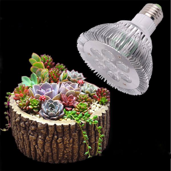 e27 15w led grow light красный синий гидропоники выращивание растений светодиодные лампы grow garden home завод растут огни комнатное растен
e27 15w led grow light красный синий гидропоники выращивание растений светодиодные лампы grow garden home завод растут огни комнатное растен