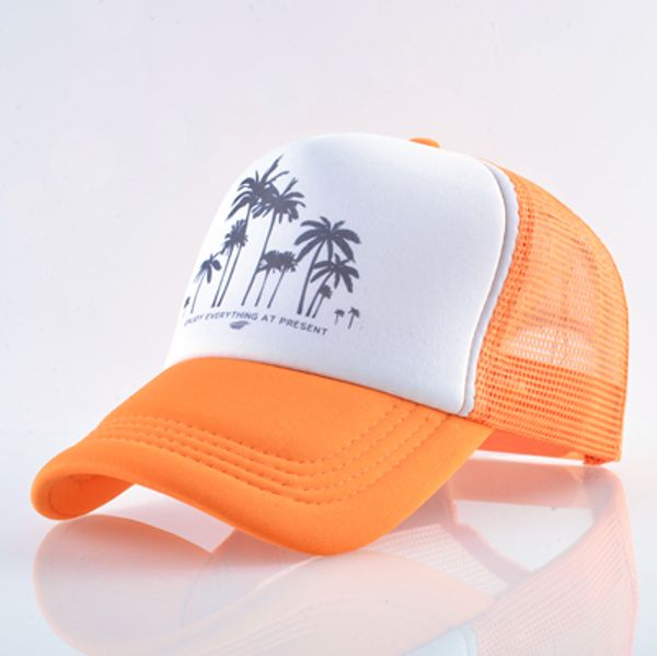 snapback mesh baseball cap summer outdoor sport hats for men women fashion trucker caps boys girls hip hop skateboard casquette, Blue;gray
snapback mesh baseball cap summer outdoor sport hats for men women fashion trucker caps boys girls hip hop skateboard casquette, Blue;gray