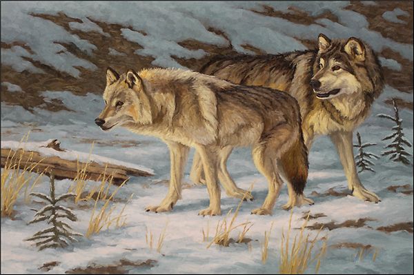 rhinestone full square diamonds embroidery animal wolf diy diamond painting cross stitch kit home mosaic decoration zxh0509
rhinestone full square diamonds embroidery animal wolf diy diamond painting cross stitch kit home mosaic decoration zxh0509