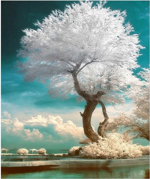 full square/round drill 5d diy diamond painting "tree" embroidery cross stitch mosaic home decor art experience toys gift a0175
full square/round drill 5d diy diamond painting "tree" embroidery cross stitch mosaic home decor art experience toys gift a0175