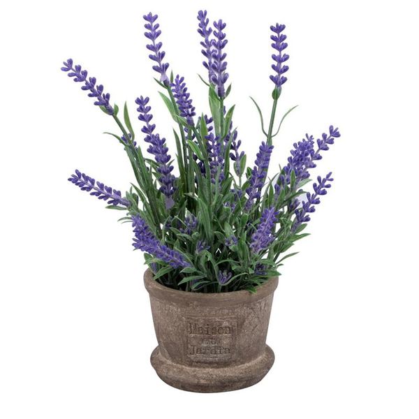 halloween christmas plastic artificial flowers plastic lavender arrangements in pots in real touch for home garden party decor
halloween christmas plastic artificial flowers plastic lavender arrangements in pots in real touch for home garden party decor