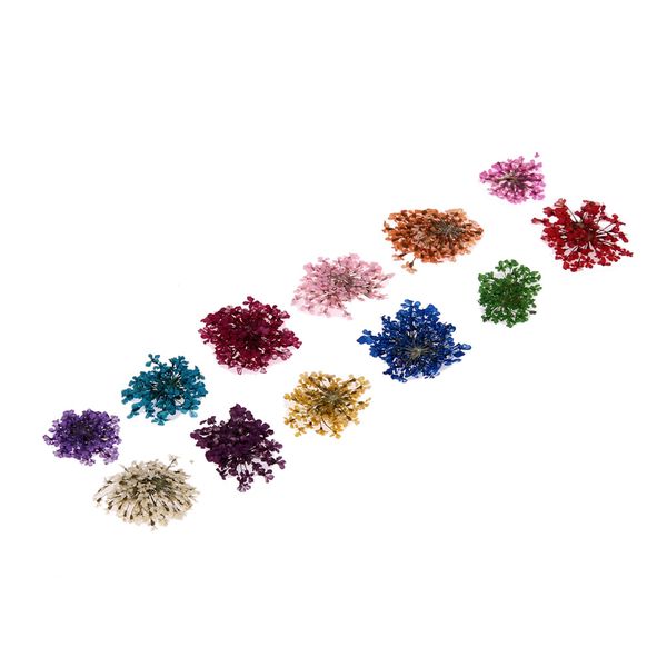 12 color/box nail art nature dry flowers set gel polish tip 3d diy floral potpourri slices decal pro manicure pedicure decor kit, Silver;gold
12 color/box nail art nature dry flowers set gel polish tip 3d diy floral potpourri slices decal pro manicure pedicure decor kit, Silver;gold
