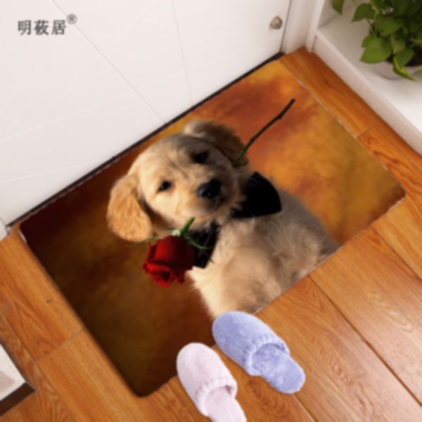 homing new arrive door mats for entrance door character 3d dogs animal pattern carpets living room dust proof mats home decor
homing new arrive door mats for entrance door character 3d dogs animal pattern carpets living room dust proof mats home decor