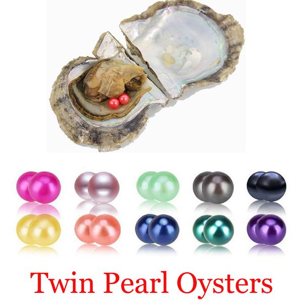 2018 akoya oyster twins pearl 6-7mm round pearl in oysters akoya oyster shell with colouful pearls jewelry by vacuum packed, White
2018 akoya oyster twins pearl 6-7mm round pearl in oysters akoya oyster shell with colouful pearls jewelry by vacuum packed, White