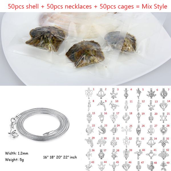 6-7MM 100% Natural Pearl Round Pearl in Oysters 25 Colors Akoya Oyster Shell with Pearls DIY Jewelry By Vacuum Packed 50 Pcs/lot
6-7MM 100% Natural Pearl Round Pearl in Oysters 25 Colors Akoya Oyster Shell with Pearls DIY Jewelry By Vacuum Packed 50 Pcs/lot