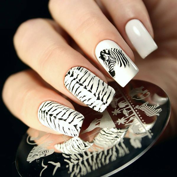 born pretty zebra wolf animal patterns nail art stamp template image plate for uv gel polish decoration diy nail stamping plates, White
born pretty zebra wolf animal patterns nail art stamp template image plate for uv gel polish decoration diy nail stamping plates, White