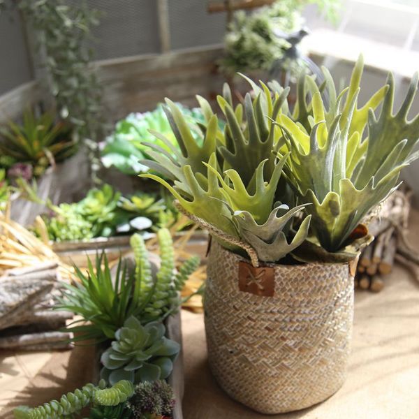 2018 new big antlers succulents grass leaf plastic artificial flowers plant wedding decoration garden home decoration accessories
2018 new big antlers succulents grass leaf plastic artificial flowers plant wedding decoration garden home decoration accessories
