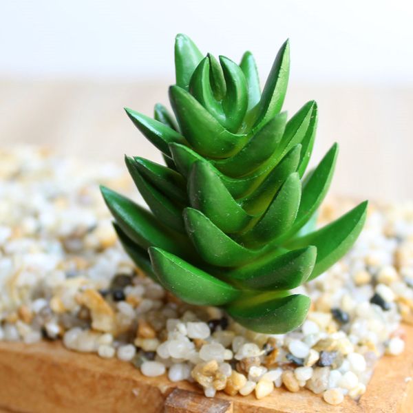festive 10pcs /set fake cactus artificial succulents plants christmas ornaments decorations for home most popular
festive 10pcs /set fake cactus artificial succulents plants christmas ornaments decorations for home most popular
