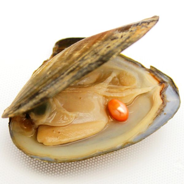 spot wholesale natural freshwater oval freshwater pearl oysters, pearl #2 orange, a total of 3 natural colors and 18 artificial dyeing
spot wholesale natural freshwater oval freshwater pearl oysters, pearl #2 orange, a total of 3 natural colors and 18 artificial dyeing