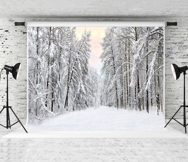dream 7x5ft/220x150cm snow scenery backdrop white snow forest pgraphy background for pgrapher winter holiday baby p shoot studio
dream 7x5ft/220x150cm snow scenery backdrop white snow forest pgraphy background for pgrapher winter holiday baby p shoot studio