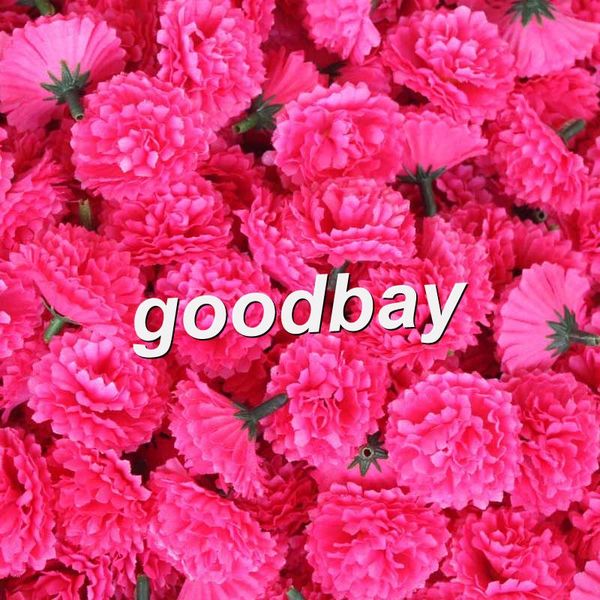 wholesale-50pcs artificial carnation silk flowers heads for diy wedding party for wedding birthday christmas part home diy decoration
wholesale-50pcs artificial carnation silk flowers heads for diy wedding party for wedding birthday christmas part home diy decoration