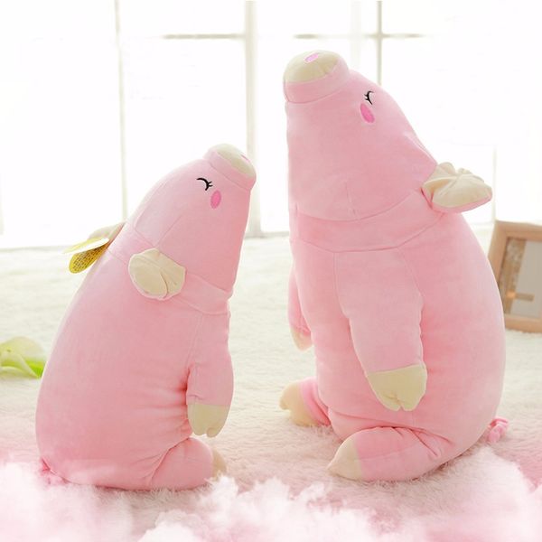 pig doll plush toy pillow male and female friend gift cute pink greedy sleep pig doll
pig doll plush toy pillow male and female friend gift cute pink greedy sleep pig doll