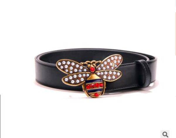 Cintos dxl814115
Cintos dxl814115