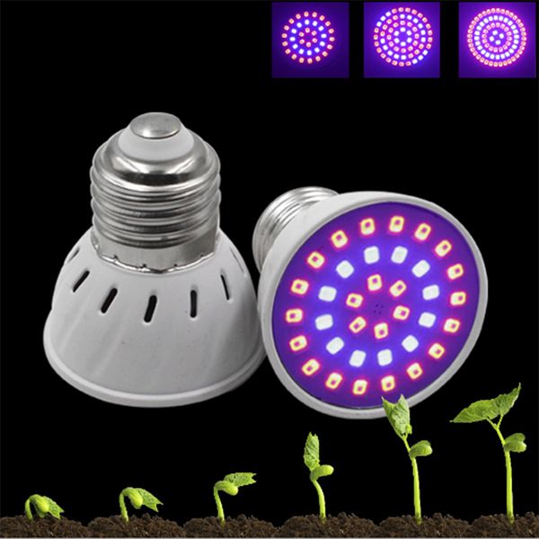 60/80 e27 led grow light 2835smd led plant grow light lamp 52red + 28blue hydroponic plants flowers vegetables greenhouse hydro led lighting
60/80 e27 led grow light 2835smd led plant grow light lamp 52red + 28blue hydroponic plants flowers vegetables greenhouse hydro led lighting