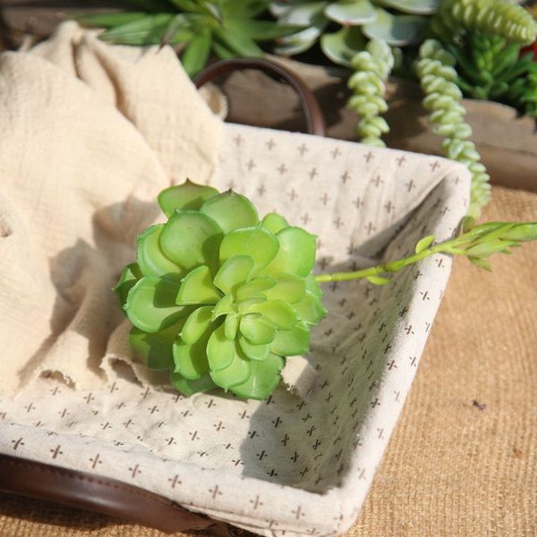 2018 new varied artificial succulent lotus plants grass artificial plant landscape fake flower home bonsai decoration
2018 new varied artificial succulent lotus plants grass artificial plant landscape fake flower home bonsai decoration