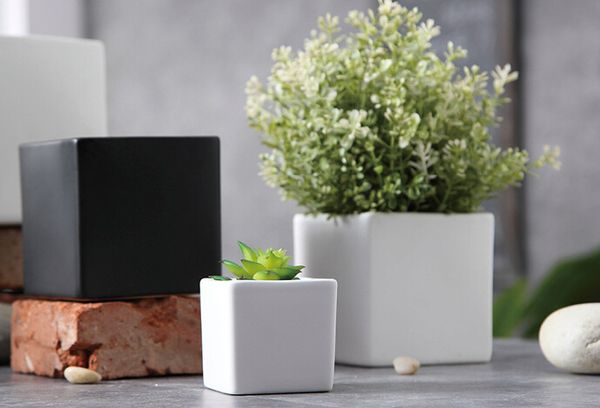 Succulent pot decorative fa hion imple white black flower pot planter ucculent plant potted on the de k home decoration three ize
Succulent pot decorative fa hion imple white black flower pot planter ucculent plant potted on the de k home decoration three ize