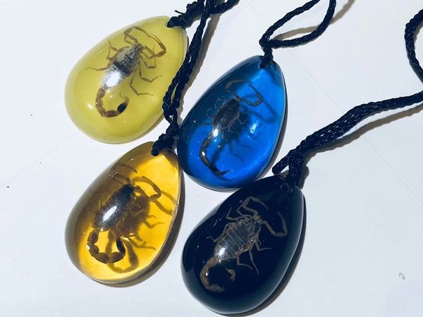 yqtdmy 12 pcs scorpion resin lover present promotion gift craft souvenir novelties, Silver
yqtdmy 12 pcs scorpion resin lover present promotion gift craft souvenir novelties, Silver