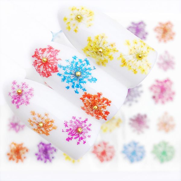 2 sheets kawaii daisy gypsophila nail art stickers flowers nailart supplies water decals diy 3d deco sticker charms manicure new, Black
2 sheets kawaii daisy gypsophila nail art stickers flowers nailart supplies water decals diy 3d deco sticker charms manicure new, Black