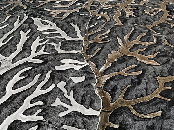 эдвард буртынский художественные работы фотография искусство плакаты печать фотобумага 16 24 36 47 дюймов
эдвард буртынский художественные работы фотография искусство плакаты печать фотобумага 16 24 36 47 дюймов