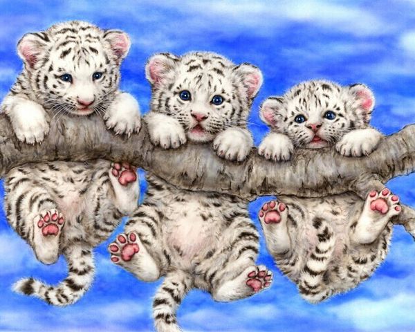 a2180 threelion 75 * 60 diy 5d алмаз вышивка живопись home decor алмаз вышивка крестом 100% смола инструмент dril живопись мозаика рукоделие
a2180 threelion 75 * 60 diy 5d алмаз вышивка живопись home decor алмаз вышивка крестом 100% смола инструмент dril живопись мозаика рукоделие